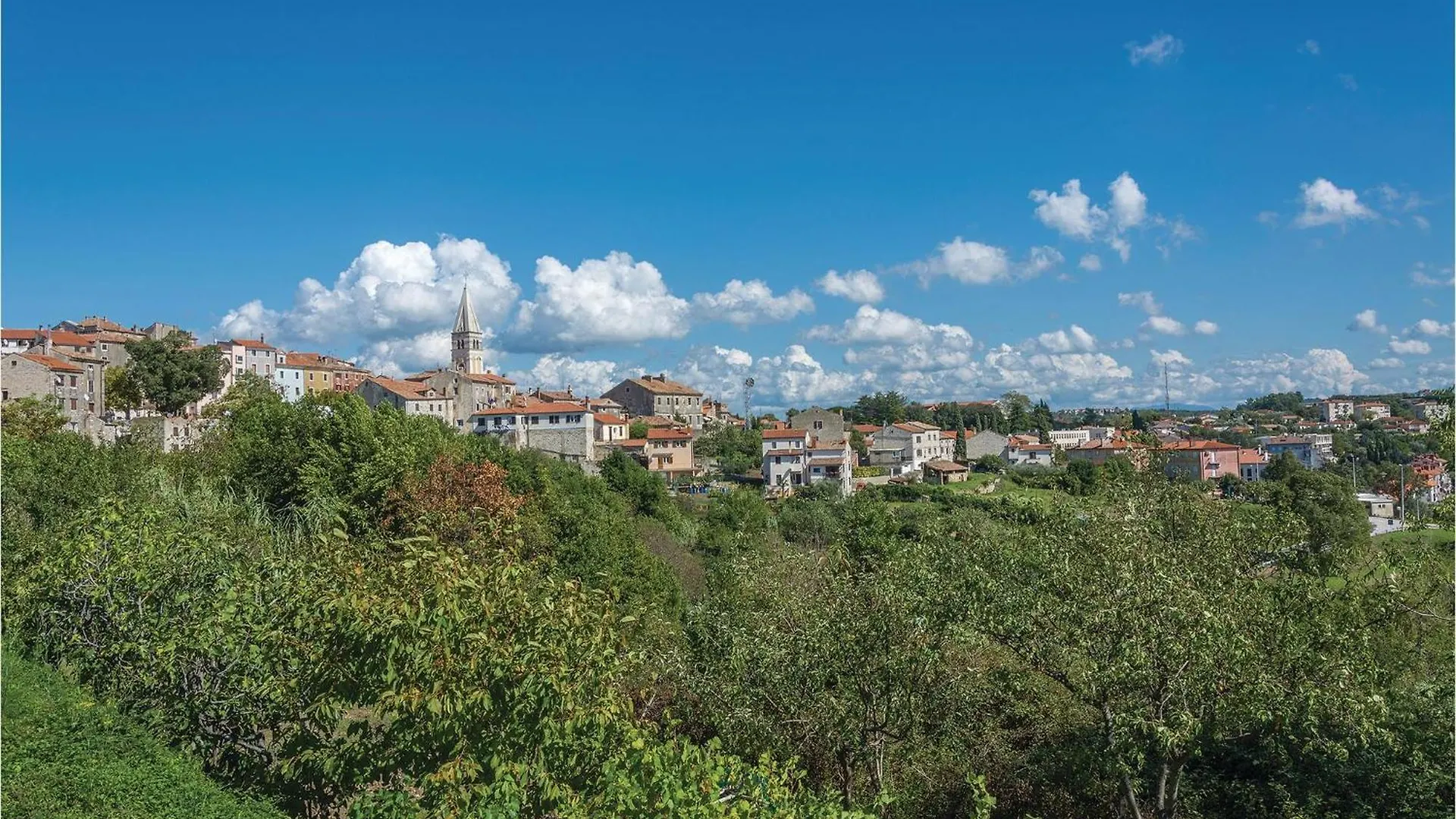 Villa Volpe Verde Buje 0*,